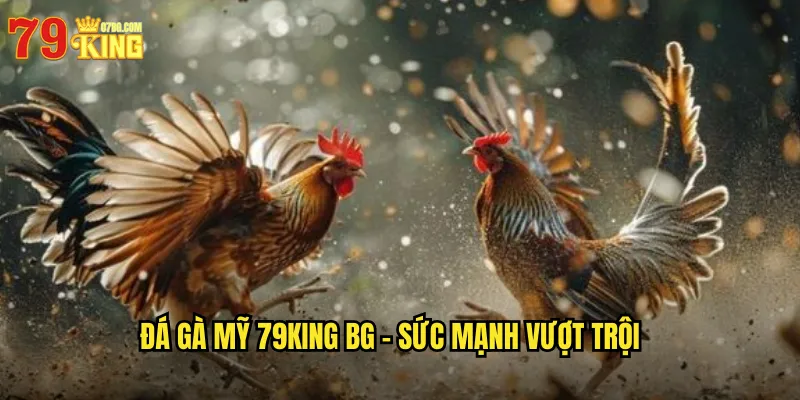 Đá gà Mỹ 79king bg - Sức Mạnh Vượt Trội