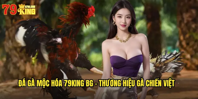 Đá gà mộc hóa 79king bg - Thương Hiệu Gà Chiến Việt