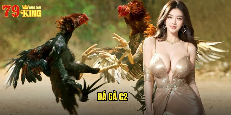 Đá Gà C2