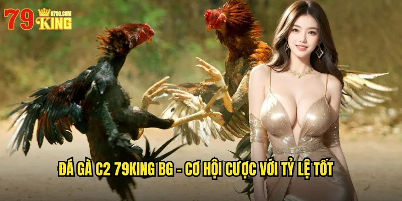 Đá gà c2 79king bg - Cơ Hội Cược Với Tỷ Lệ Tốt