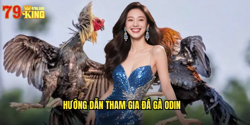 Hướng Dẫn Tham Gia Đá Gà Odin