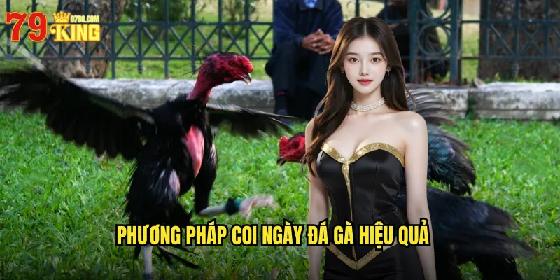 Phương Pháp Coi Ngày Đá Gà Hiệu Quả
