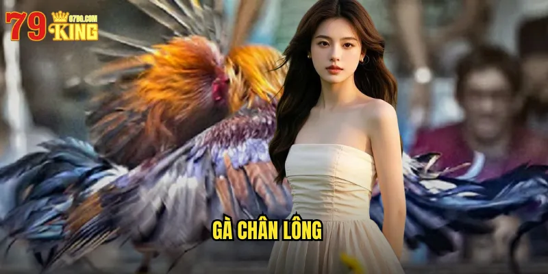Gà Chân Lông
